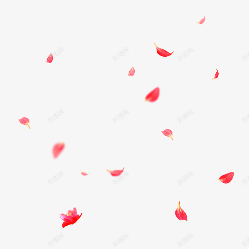 漂浮的红色花瓣png免抠素材_新图网 https://ixintu.com 中国风 浪漫 漂浮元素 红色 花瓣