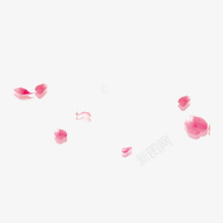 樱花粉红色白色花瓣简约飘落樱花花瓣高清图片