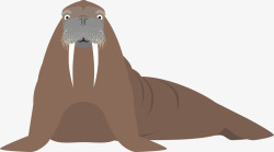 棕色海豹手绘海豹高清图片