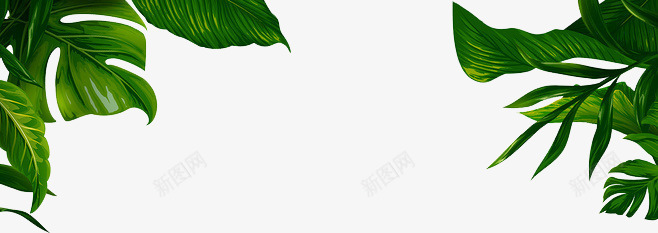 树叶png免抠素材_新图网 https://ixintu.com 叶子 树叶 植物 热带雨林