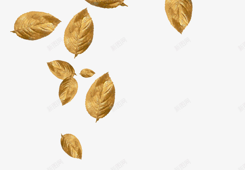 漂浮金色树叶png免抠素材_新图网 https://ixintu.com 叶子 树叶 漂浮树叶 金色树叶