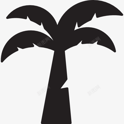 椰子树图标png_新图网 https://ixintu.com 夏天 棕榈树 椰子岛 海滩 热带 自然