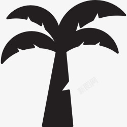椰子岛椰子树图标高清图片