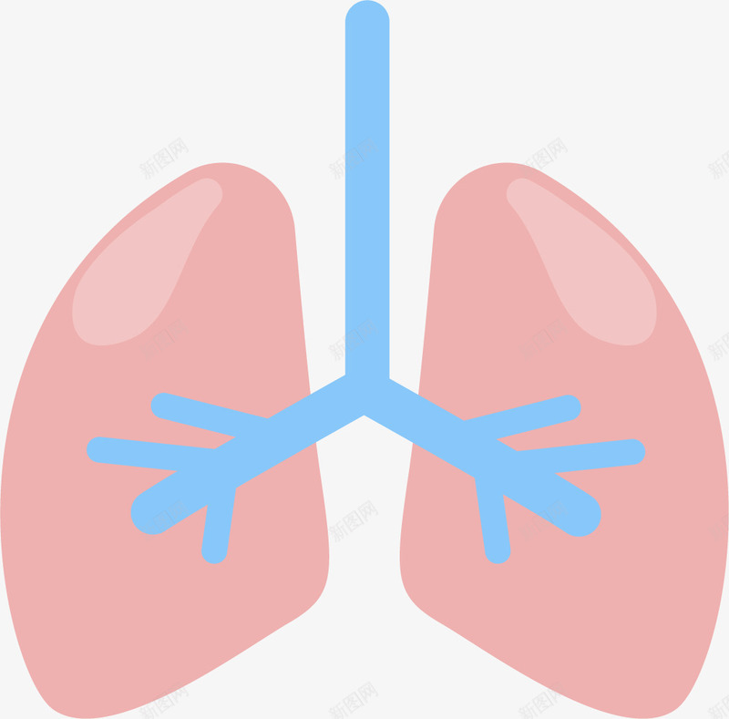 肺部简单手绘示意图png免抠素材_新图网 https://ixintu.com 人体内脏 人体内脏器官 人体肺部 内脏 内脏图 器官 手绘器官 简单手绘 肺器官