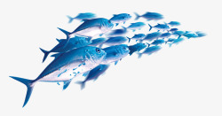 模煳海底动物模糊卡通鱼群高清图片