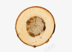 棕色圆形带裂纹木头截面实物素材