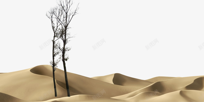 沙漠孤单枯树psd免抠素材_新图网 https://ixintu.com 一望无际 孤单 沙漠枯树 环保
