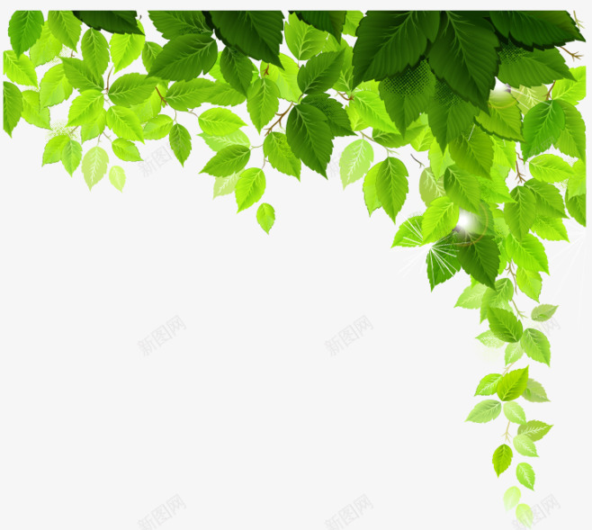 叶子png免抠素材_新图网 https://ixintu.com 树叶 点缀 绿叶 背景装饰