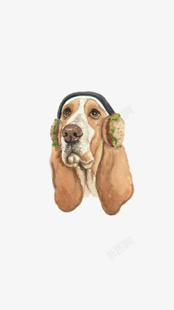 棕色耳机戴耳机的小狗高清图片