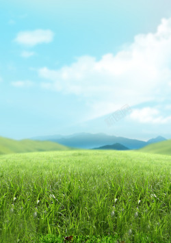 绿草原野背景图高清图片
