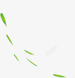 祖孙包粽子包粽子绿色漂浮树叶高清图片