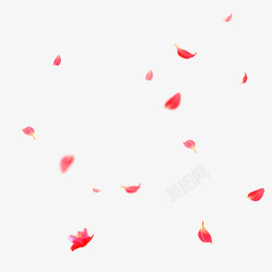 矢量手绘粉红色的落叶蝴蝶漂浮插图元素高清图片