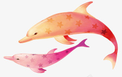 彩色小海豚素材