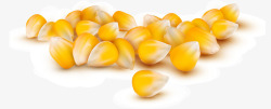 金黄的玉米粒手绘玉米粒高清图片
