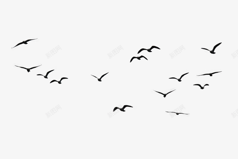 很多鸟群png免抠素材_新图网 https://ixintu.com 乌鸦 乌鸦图案 乌鸦飞过 大雁 素材 鸟群