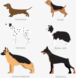 褐色拉布拉多犬手绘卡通狗狗高清图片