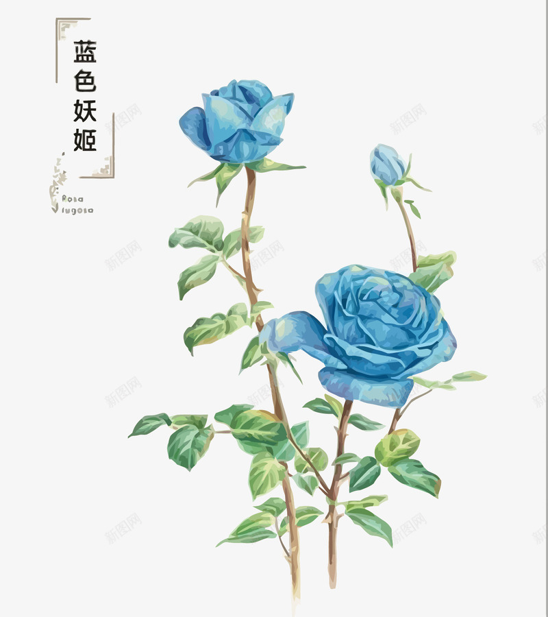 蓝色妖姬png免抠素材_新图网 https://ixintu.com 手绘 玫瑰矢量 蓝玫瑰 蓝色 蓝色妖姬