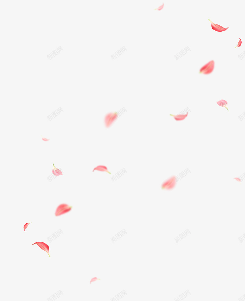 粉色花瓣飘落漂浮png免抠素材_新图网 https://ixintu.com 一朵朵 免抠PNG 完结撒花 洒落花瓣 漂浮 粉色 花瓣 花瓣掉落 花飘落 飘落