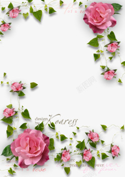 绿叶玫瑰花粉色清新玫瑰花花藤边框高清图片