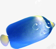 海底小鱼海底动物卡通小鱼气泡高清图片
