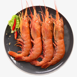 食用大红虾素材