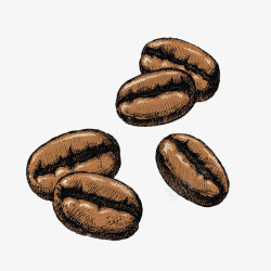 醇香咖啡手绘猫屎咖啡豆高清图片