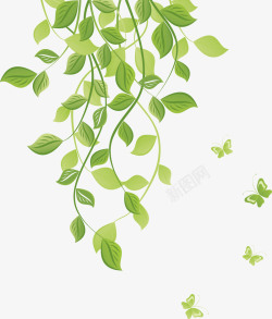 植物主题蝴蝶绿花纹高清图片