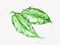 水滴状叶子水花绿叶元素高清图片