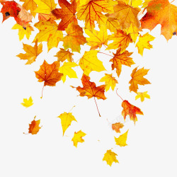中秋天灯枫叶在秋天中高清图片