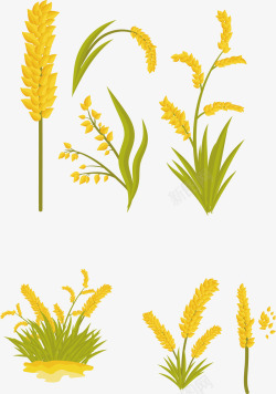 黄绿色秋季收获小麦穗矢量图素材
