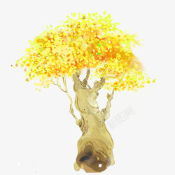 黄金树发财树高清图片