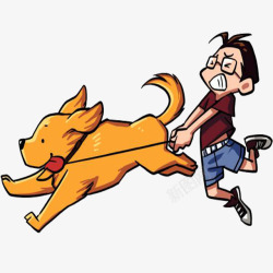 带路奔跑的导盲犬高清图片