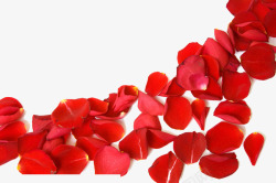 三八节背景情人节妇女节三八节花瓣高清图片