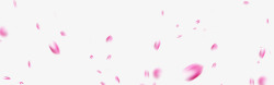 桃花花朵漂浮的粉色花瓣高清图片