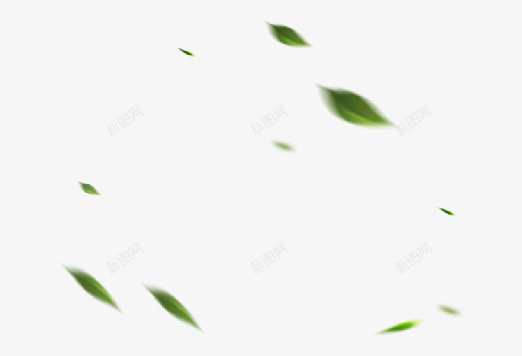漂浮的茶叶png免抠素材_新图网 https://ixintu.com 树叶 植物 漂浮的树叶 绿叶 绿茶 茶叶