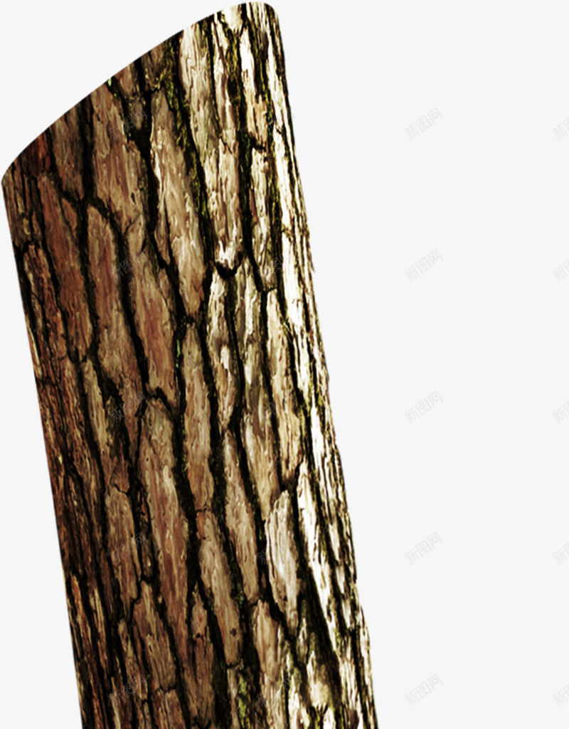 一节棕色木桩png免抠素材_新图网 https://ixintu.com 一节 木桩 棕色