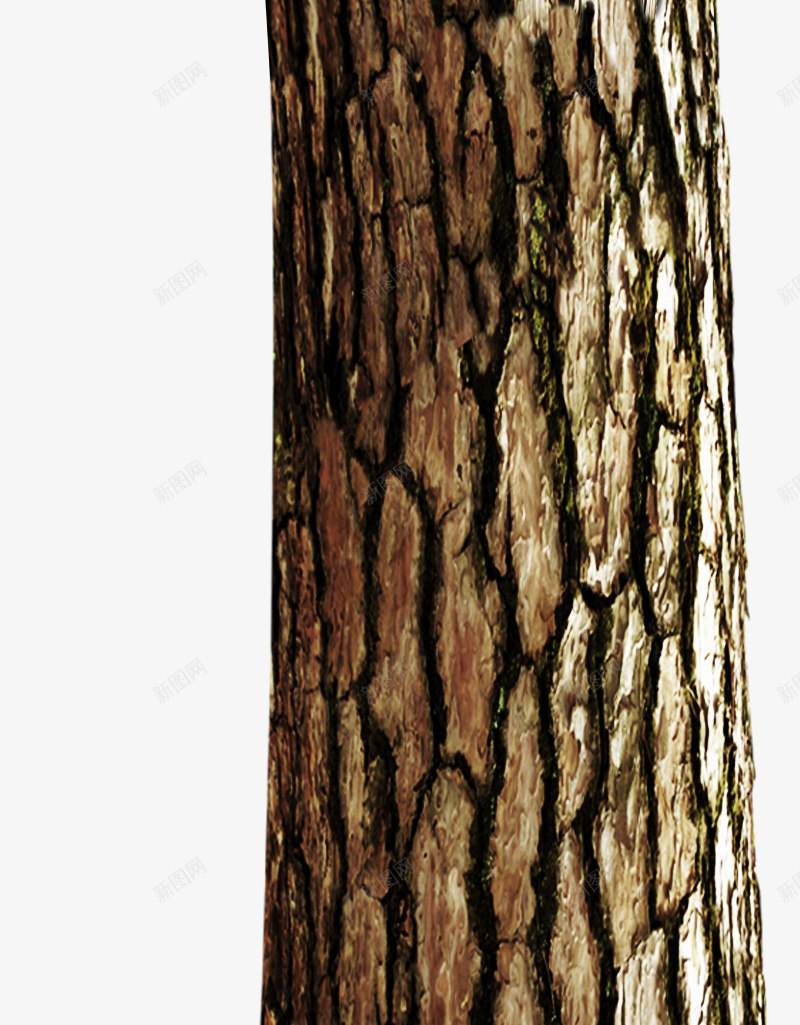 一节棕色木桩png免抠素材_新图网 https://ixintu.com 一节 木桩 棕色