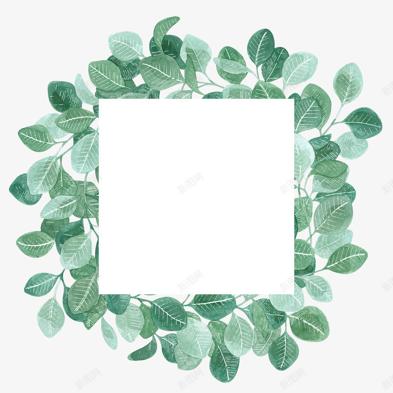 绿叶背景和白板png免抠素材_新图网 https://ixintu.com 创意 叶子 桔梗 植物 白板 绿植 绿色叶子 背景