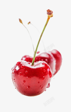 红色美味桑葚针叶樱桃高清图片