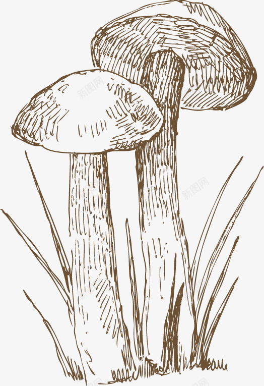 手绘棕色线条蘑菇png免抠素材_新图网 https://ixintu.com 棕色 线条 蘑菇