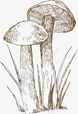 手绘棕色线条蘑菇素材