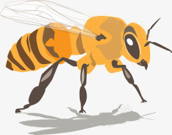 手绘黄蜂手绘大黄蜂高清图片