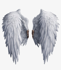 两个白色洗手台白色羽毛翅膀双翼高清图片