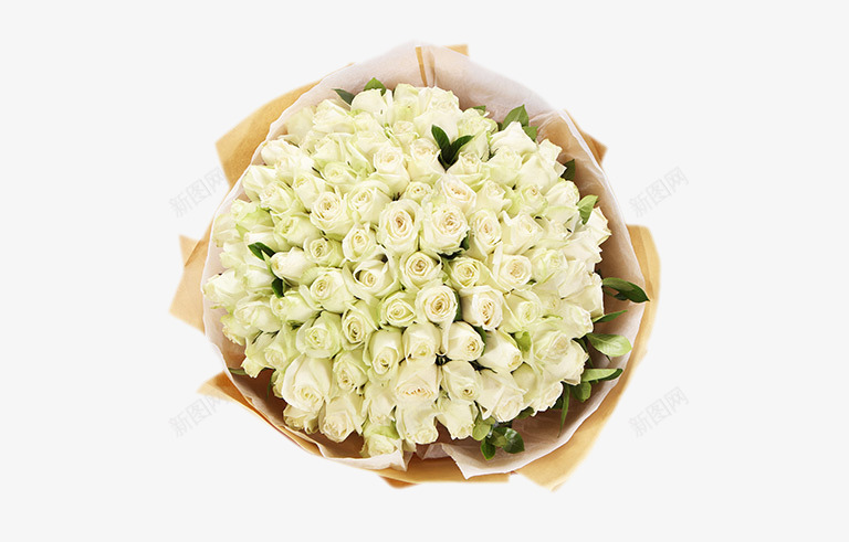 白色玫瑰99朵鲜花花束png免抠素材_新图网 https://ixintu.com 99朵 情人节礼物 爱情 玫瑰 白玫瑰 礼物 纯洁的爱情 花束 鲜花