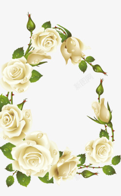 白玫瑰花边素材