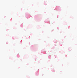 粉红樱花精美浪漫粉红花瓣矢量图高清图片