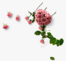 矢量花球粉色玫瑰花玫瑰花球花朵叶子高清图片