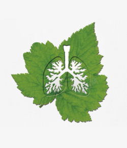 吸烟有害肺部插画绿色创意树叶肺部插画高清图片