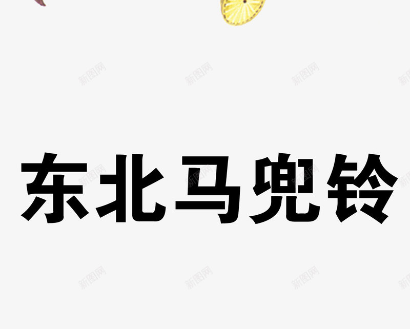 东北马兜铃png免抠素材_新图网 https://ixintu.com 中药 医疗保健 本草纲木 百草 草药 药材