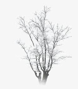 冬季树枝头的枫叶冬季下雪结冰的树木高清图片